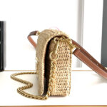 Celine Multipochette In Raffia 10M432 Coffee